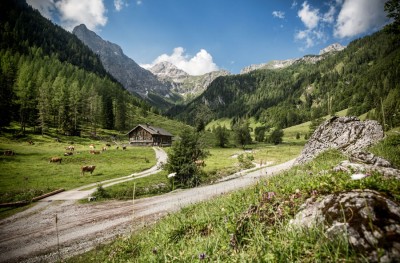 Romantische Täler beim Wandern erkunden